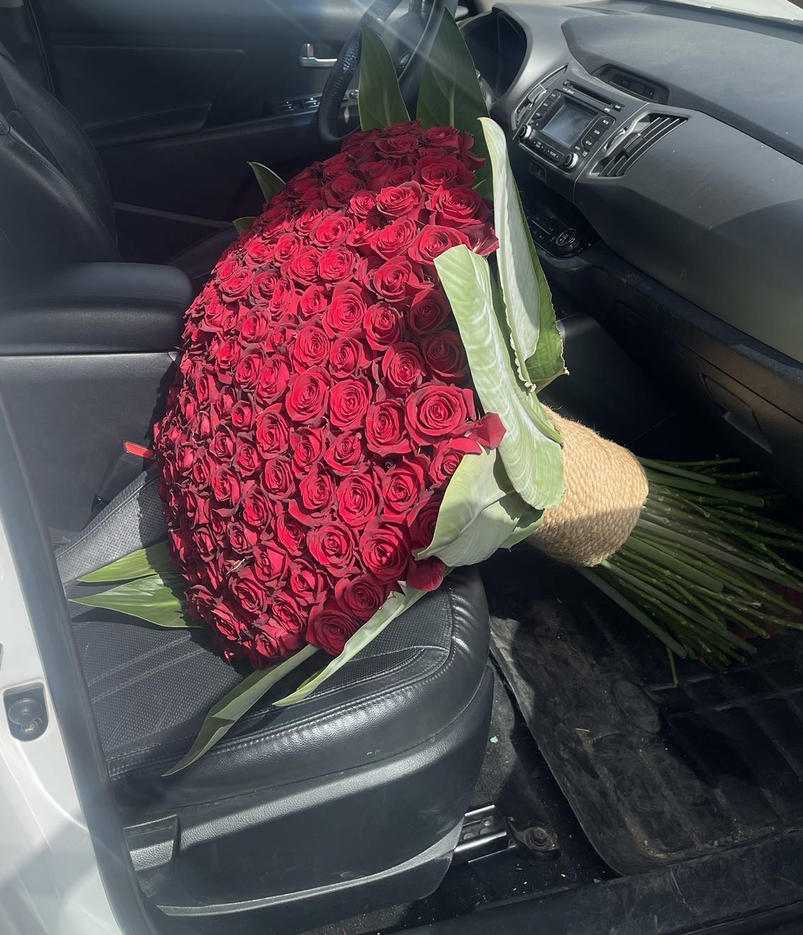 رز هلندی