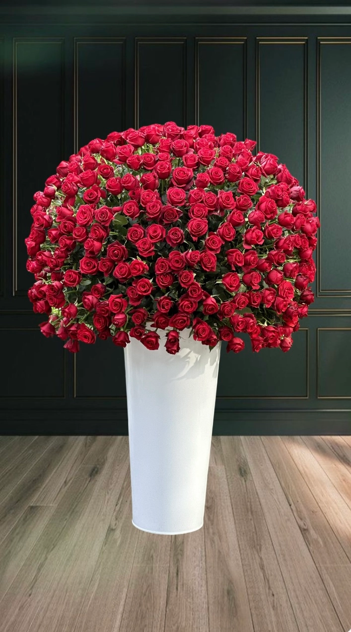 رز هلندی