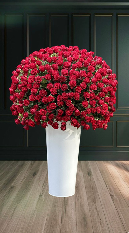 باکس گل رز 300 شاخه قرمز در سطل سفید بلند-ارسال رایگان از گلفروشی فلورسا