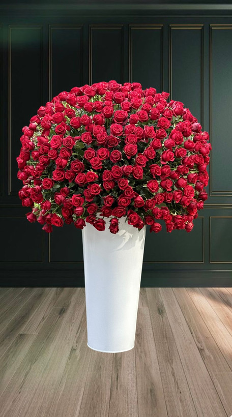 باکس گل رز 300 شاخه قرمز در سطل سفید بلند-ارسال رایگان از گلفروشی فلورسا