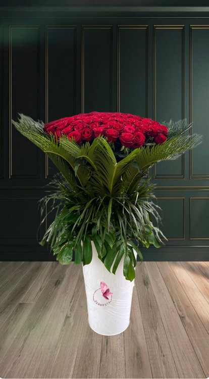 باکس گل ۲۰۰ شاخه رز قرمز لوکس در سطل سفید با برگ ارایی سبز-گلفروشی فلورسا