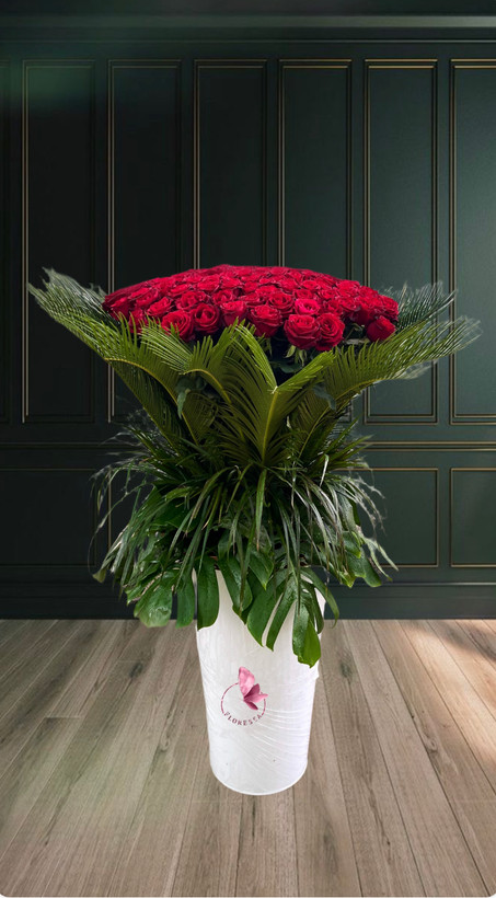 باکس گل ۲۰۰ شاخه رز قرمز لوکس در سطل سفید با برگ ارایی سبز-گلفروشی فلورسا