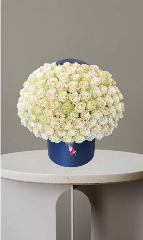 باکس رز ۱۵۰ شاخه سفید لوکس مناسب هدیه و تبریک تولد در باکس سورمه ای از گلفروشی فلورسا