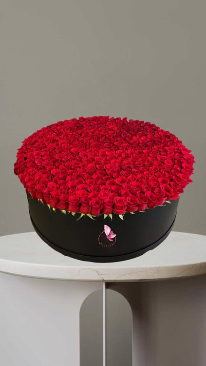 باکس گل شیک ۱۶۰ شاخه رز هلندی قرمز در باکس بزرگ مشکی ارسال فوری گل در تهران