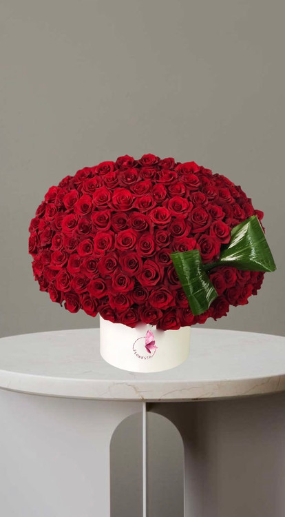 باکس گل لوکس ۱۴۰ شاخه رز هلندی تازه و با کیفیت قرمز با باکس سفید و برگ ارایی سبز گل فروشی فلورسا