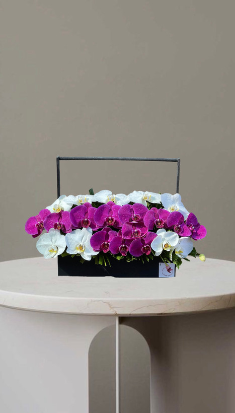 باکس گل ارکیده سفید بنفش با طراحی شیک وخاص درباکس چوبی مشکی از گلفروشی فلورسا