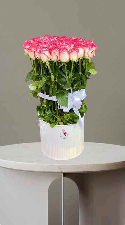 باکس گل رز جومیلیا ۴۰ شاخه ای با باکس فلزی و ربان سفید از گلفروشی فلورسا