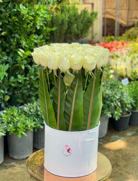 باکس گل رز سفید ۴۰ شاخه با برگ آرایی سبز