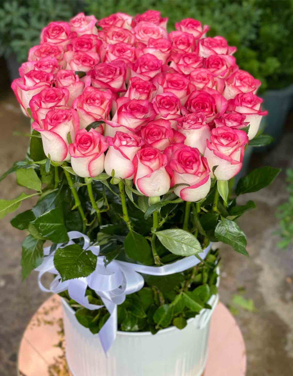 سفارش آنلاین باکس گل رز صورتی گلفروشی آنلاین فلورسا