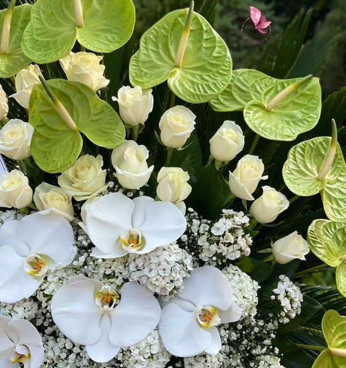 آنتریوم و رز سفید و ارکیده سفید با باکس فلزی مشکی|گلفروشی اینترنتی فلورسا