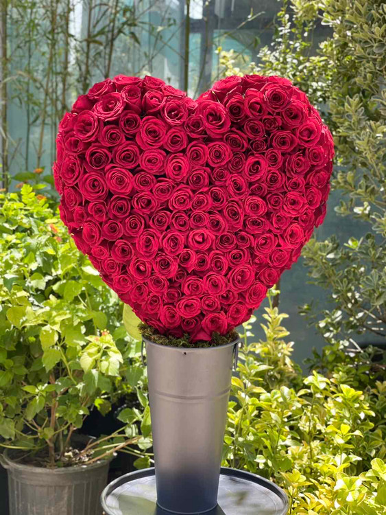 باکس گل رز ۱۴۰ شاخه قرمز هلندی-ارسال گل در تهران