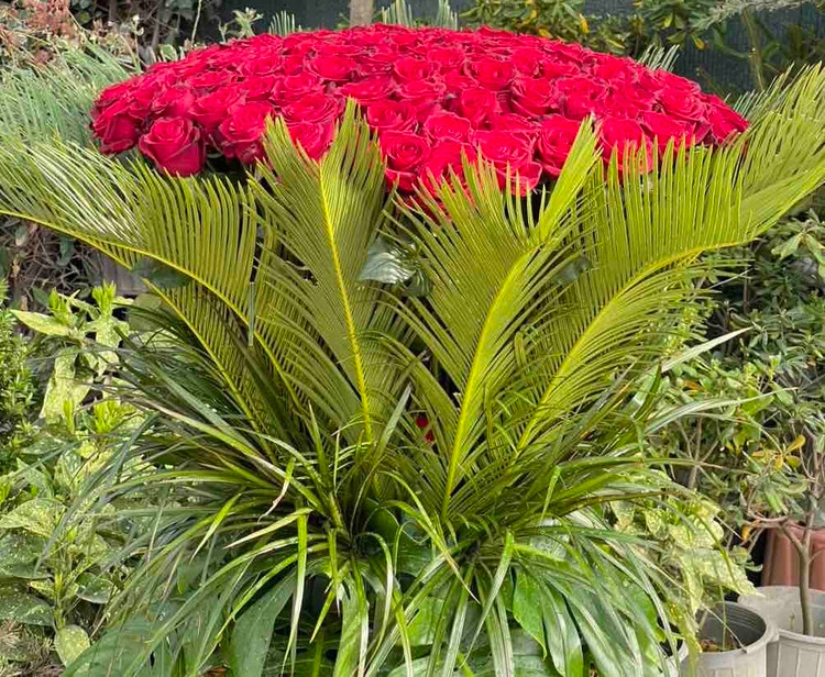 ارسال فوری باکس گل لاکچری در تهران