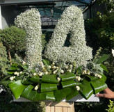 باکس گل اعداد ژیپسوفیلا سفید