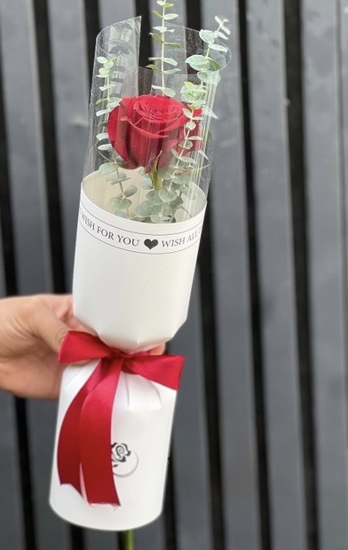 تک شاخه رز قرمز با کاغذپیچی شیک و ربان مناسب هدیه روز مادر
